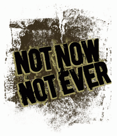 logo Not Now Not Ever